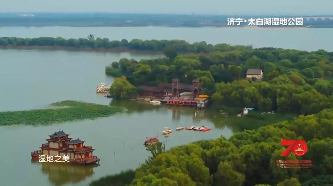 万亩荷花,芦苇绵绵,快来领略济宁两大湿地灵动之美
