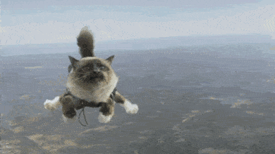 4feb4fa7082c401f9b34dd4a8f25a417.gif