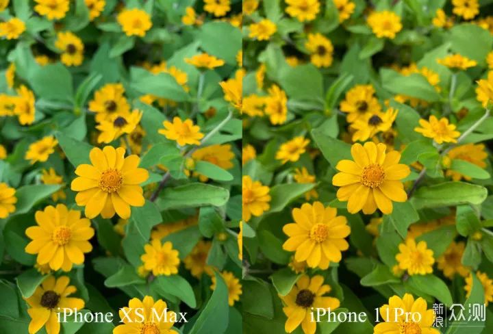 iPhone 11 Proϵ��ֵ������?��ƪ���¸������