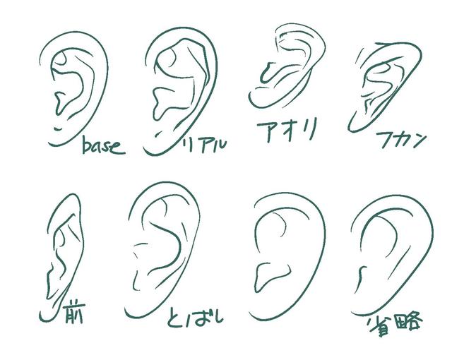 以及阴影该怎么表达,耳朵是五官里最复杂也是最难画好的部分,除了人类
