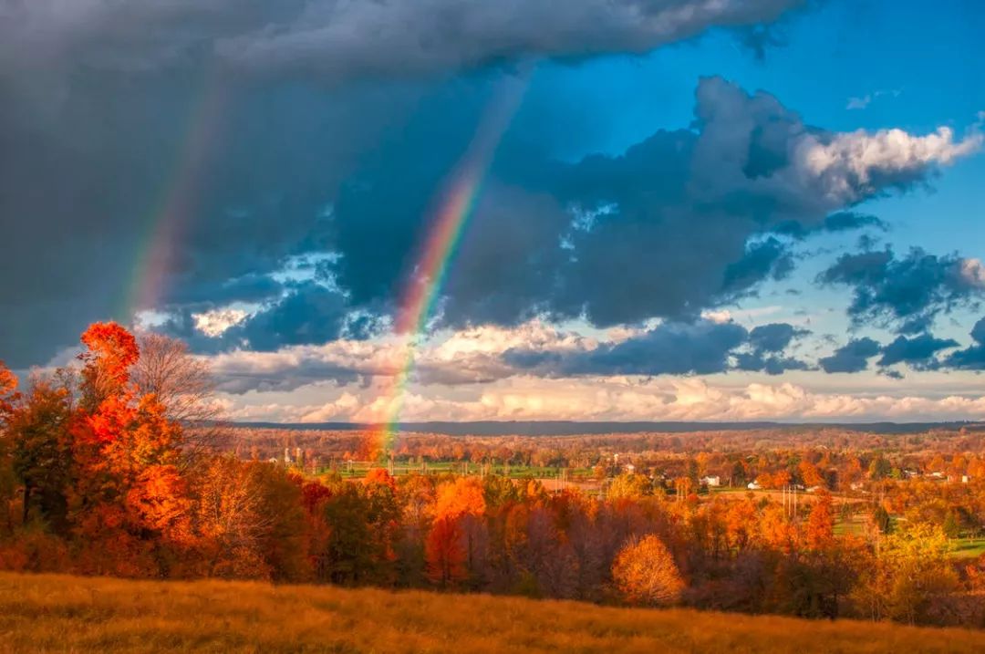 唯识学,把森罗万象的生命,分成三种相貌。