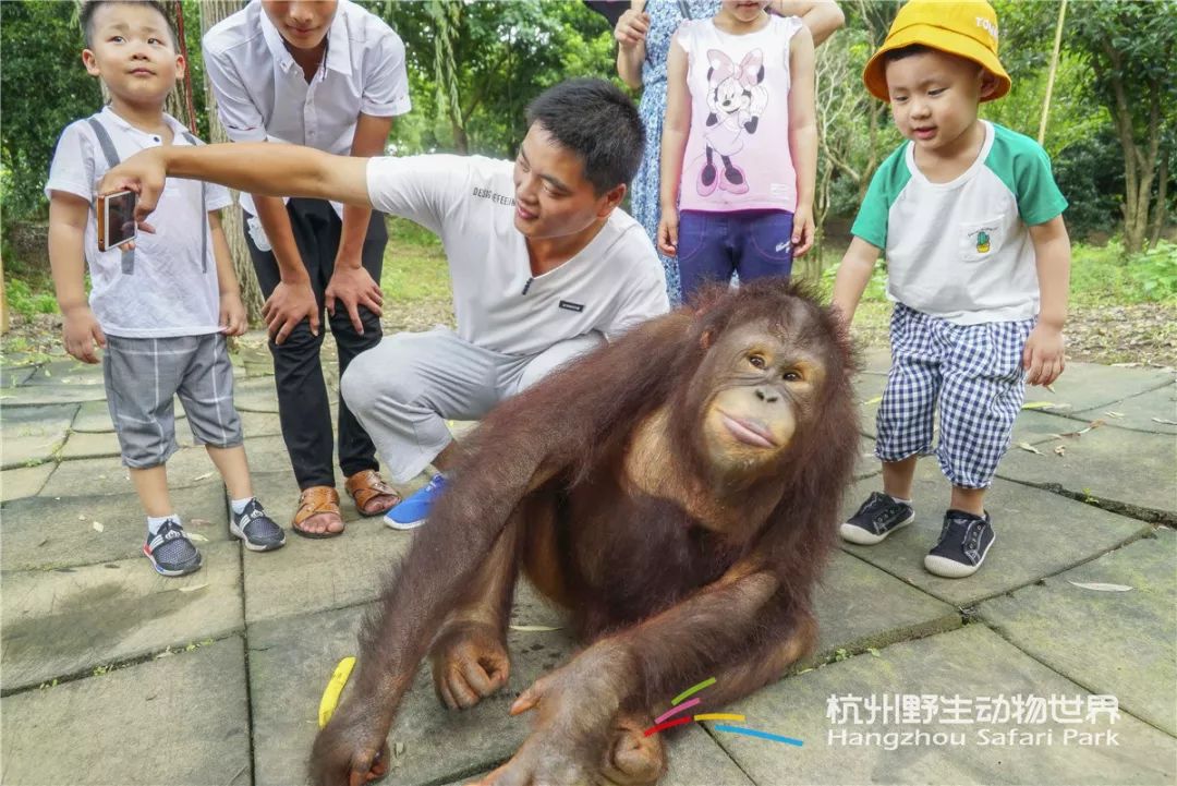 带你快乐玩转杭州野生动物园