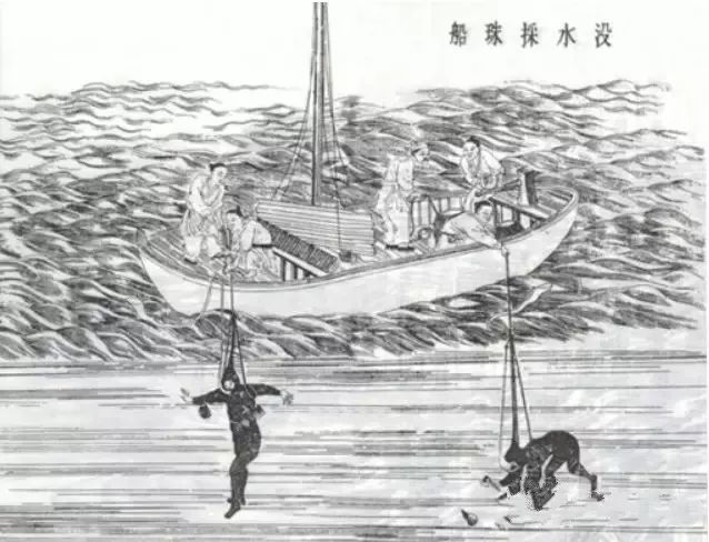 藏于蚌中";《后汉书》中记载,广西出现采珠业,采珠人以此换粮谋生;到