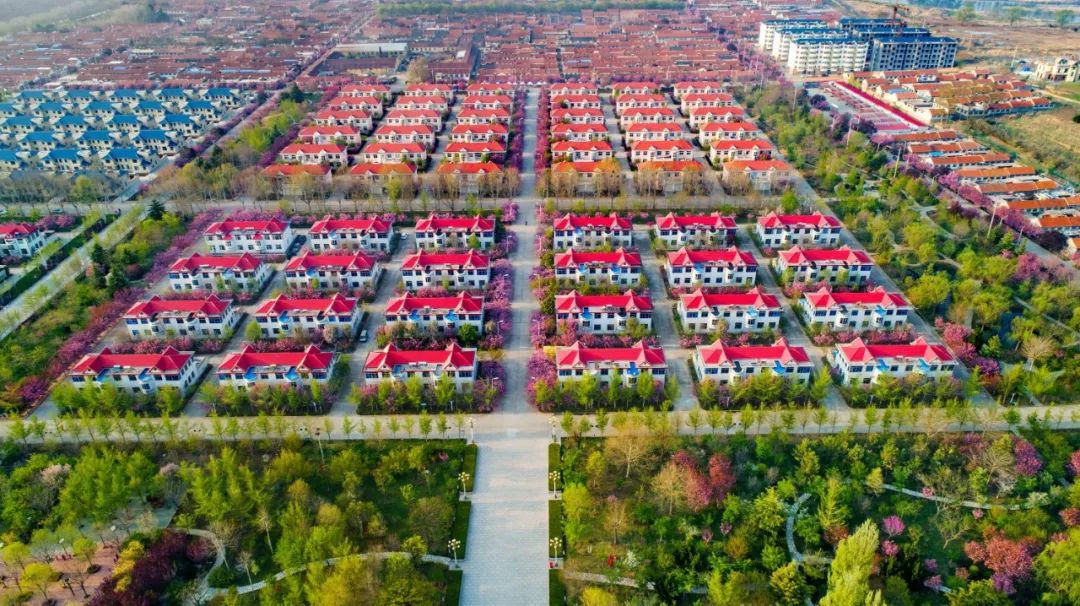 烟台日报壮丽70年奋斗新时代烟台70年发展成就巡礼之莱阳篇