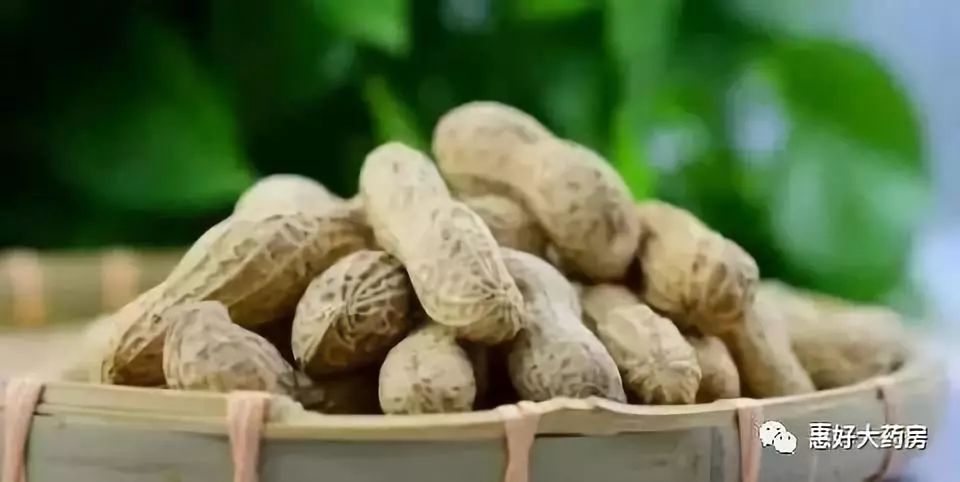 坚果是什么植物 6506ad0efcb7415a8d55e04668ba0347.jpeg