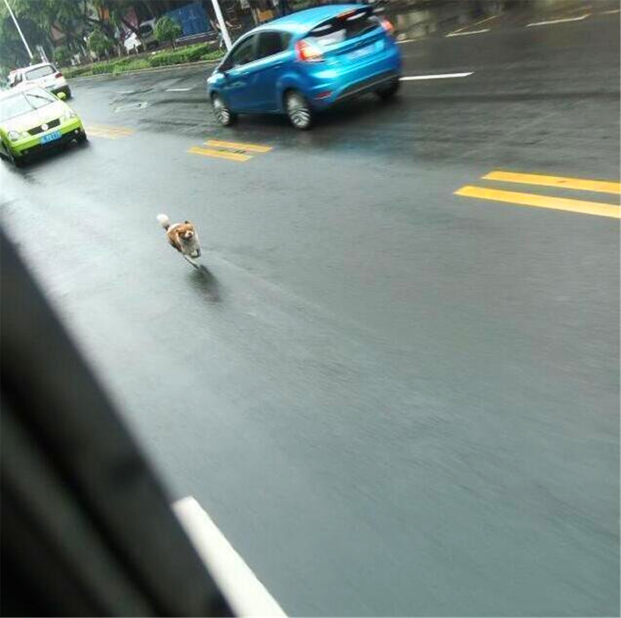 疯狂猜成语一个老人一只狗一辆车_一的成语疯狂猜成语图