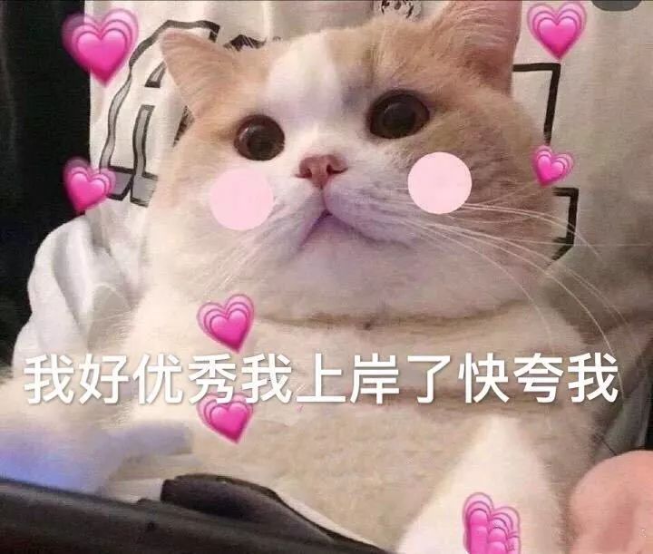 对教师资格证考试一无所知,该怎么做准备?