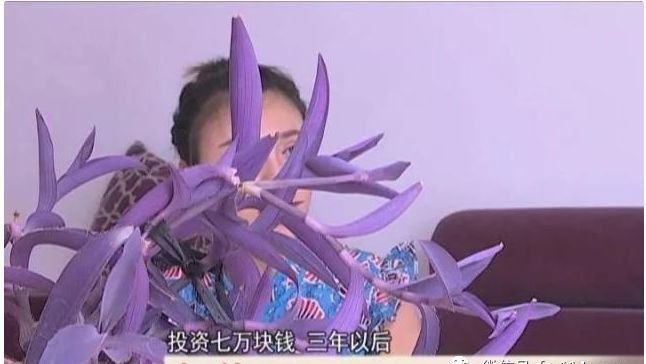 蚌埠一男子陷入传销,号称国家机密!投入七万