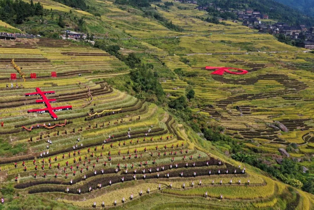 龙胜人口_因为这个县广西又在全世界出名了 景美,距今已有2300多年历史 你去过(2)