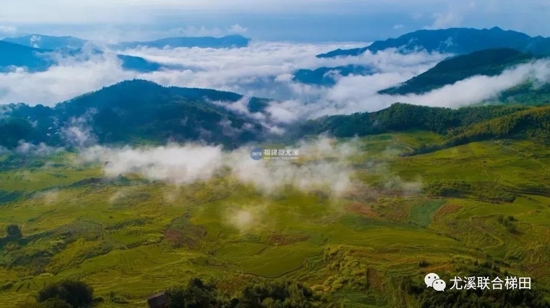 久泰农业积极响应尤溪县"我家在景区",发展"全域旅游"的号召,延伸产业