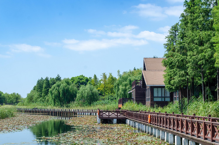 生态休闲 来自搜狐网