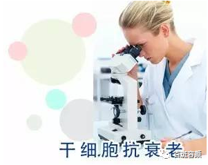 7b4e8525a754481cafa98211890c3180.png