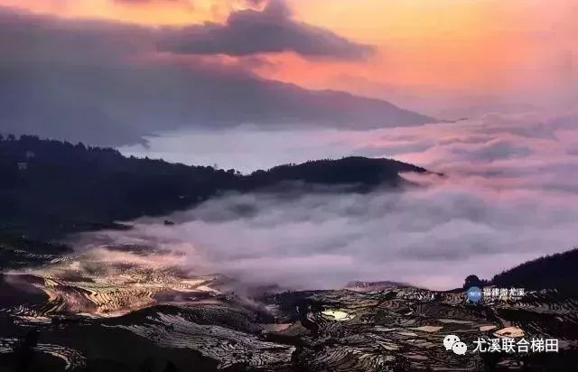 久泰农业积极响应尤溪县"我家在景区",发展"全域旅游"的号召,延伸产业