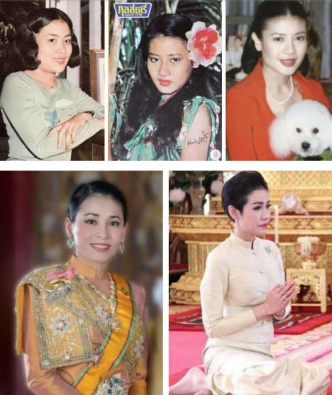 不爱贵族不看出身,盘点67岁泰国国王的5任妻子,一个比