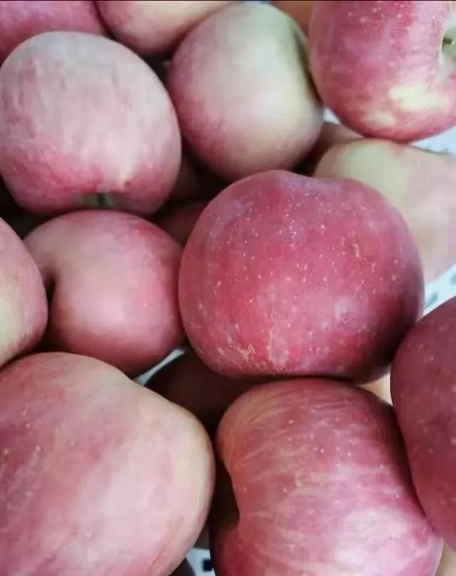 什么食物能让孩子茁壮成长 91066cec00594695ab7f33c28bf4139d.jpeg