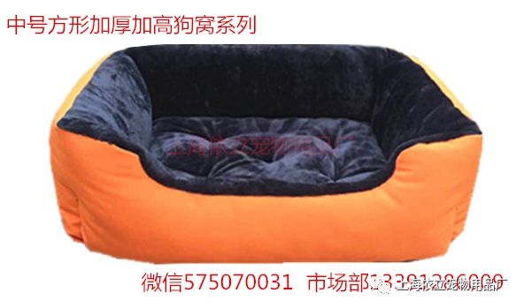 《犬和狗的区别在哪里?你家喂养的到底是犬还