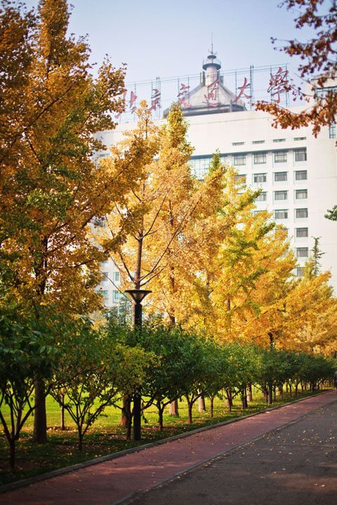 在北京交通大学读书是一种怎样的体验?