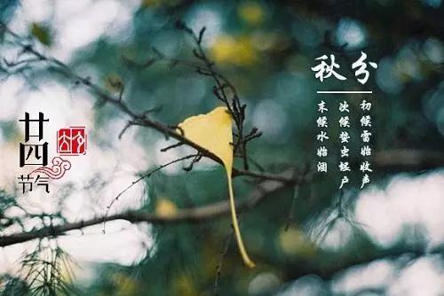 「儿康堂」秋分养肺润脾，孩子秋冬少生病的机会，真的来了！