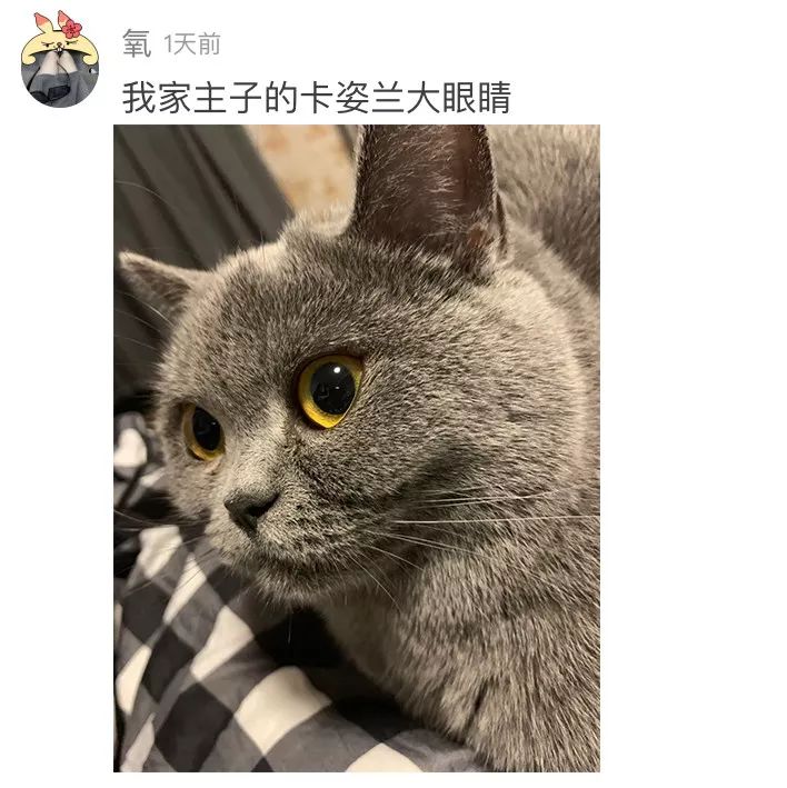 结婚证上眼睛还没老婆卧蚕大,这修图师不该扣