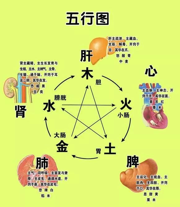 古中医"五行脏腑辨证"(收藏版)