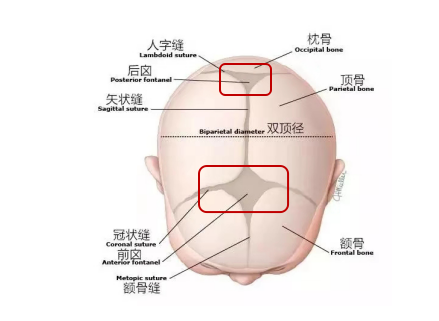 「崔玉涛的育学园」宝宝有这些表现，是生长发育迟缓吗？一篇解决你所有的疑问！