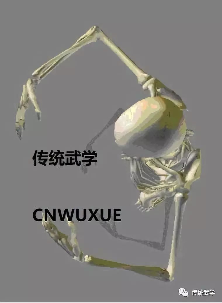 b41be2c36b944b07a58a590cf095540b.jpeg