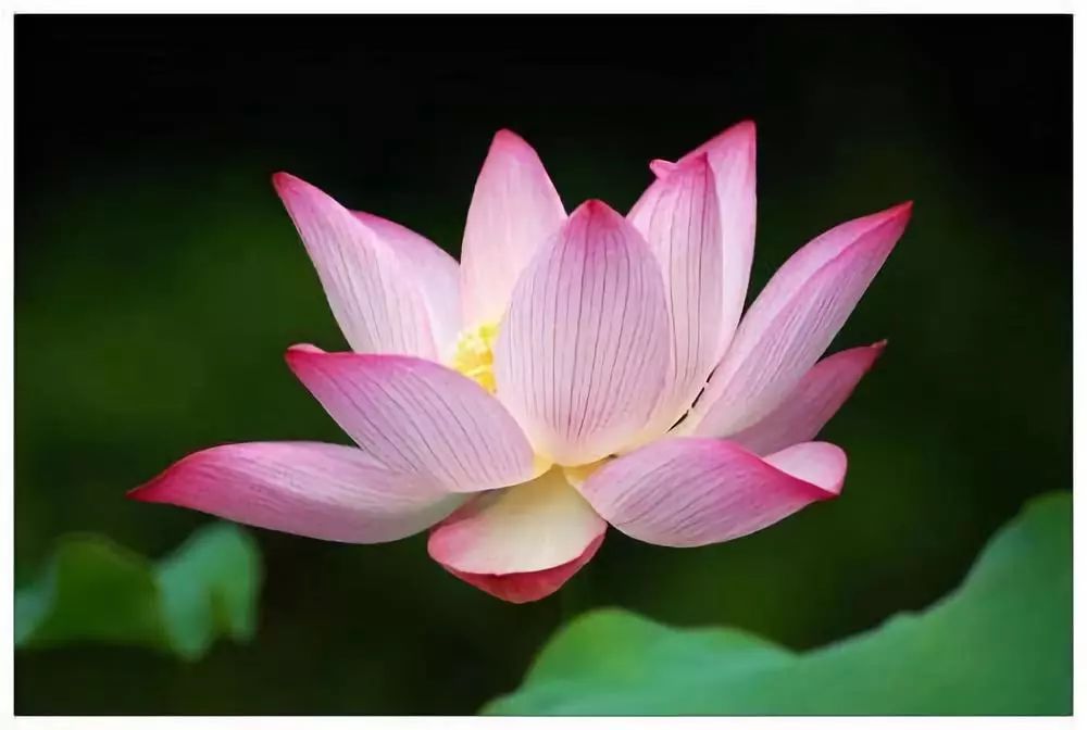 不管有没有人欠你钱不还,都把这个放到圈子里