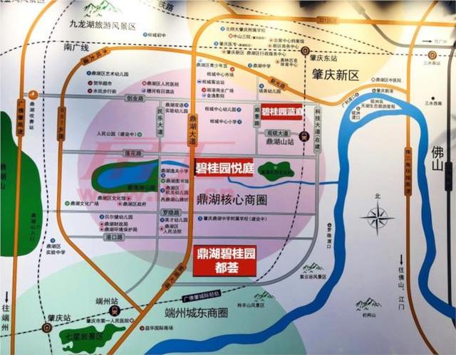 鼎湖区人口_粤港澳地区空间发展战略规划(3)