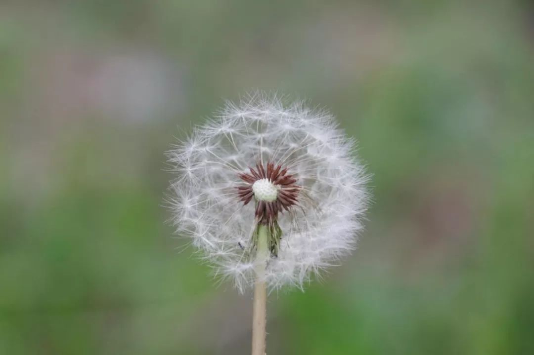 什么时候开始昼渐长夜渐短 c3fcc5cba07447d9b49474c566590105.jpeg