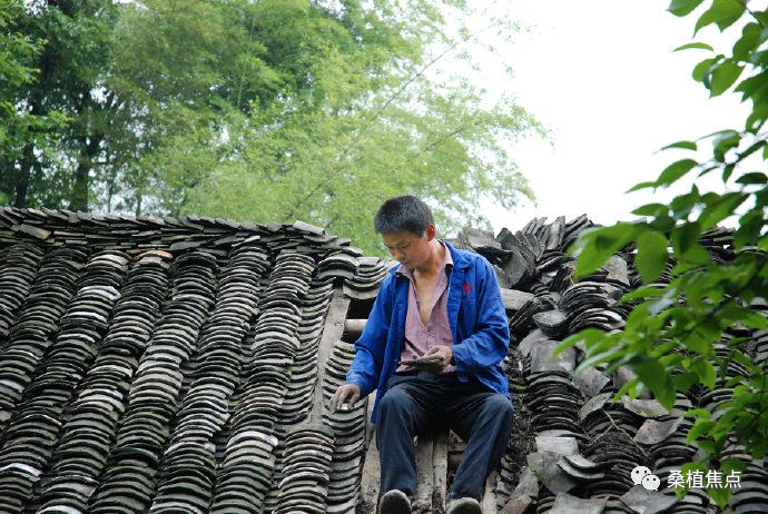 桑植现有人口_桑植四中图片