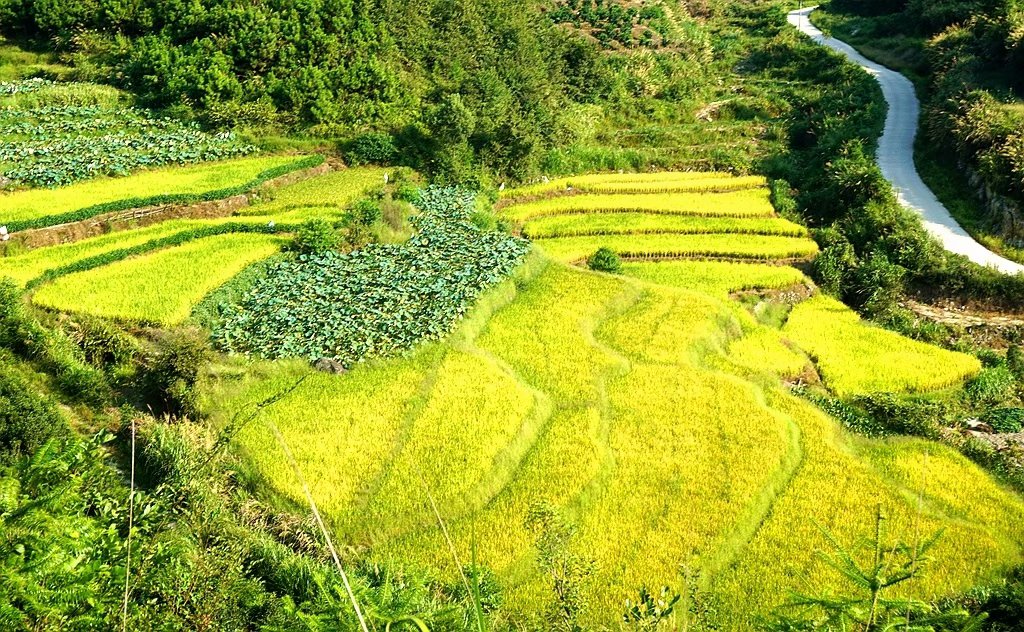 多图|宁都的秋,秋高气爽,清静自然,朴实无华