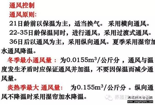 cd1ebf77f89f4f57b303ca30325476ea.jpeg