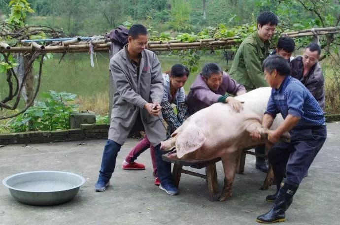 这类骗局层出不穷,骗子们在骗了感情后,骗钱简直是易如反掌.