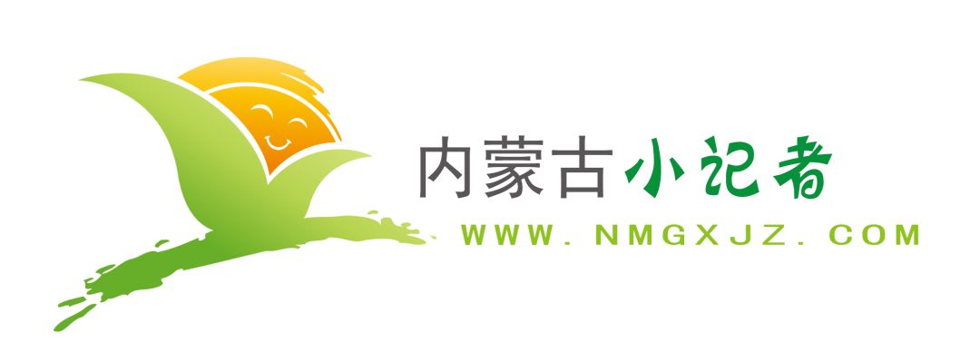 异形魔方难度排行_...内蒙古魔方协会和小记协联手举办＂名都和景杯＂2019内蒙古首届异...
