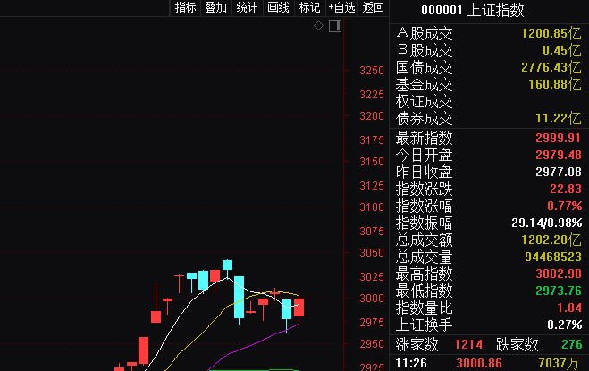 gdp数字货币违法吗_关于王女士在GDP数字交易平台购买数字币交易被骗的说明