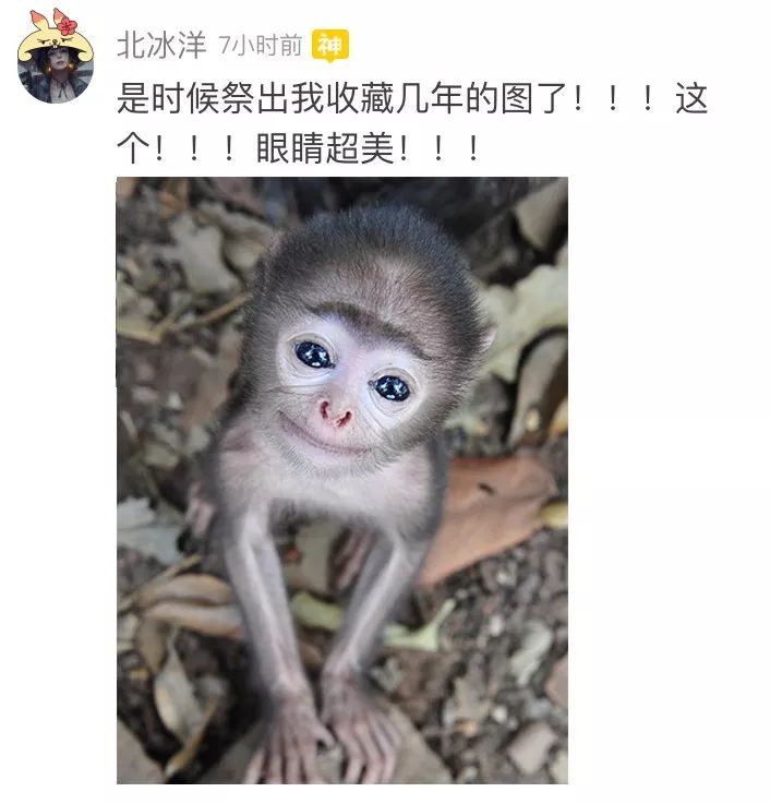 结婚证上眼睛还没老婆卧蚕大,这修图师不该扣