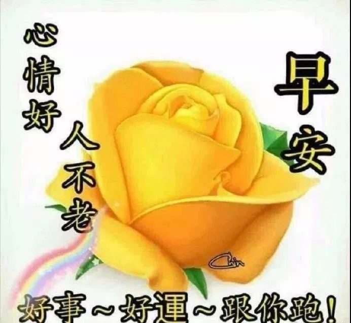 最温暖的早上好祝福语鲜花动态图片 ,早上好的祝福温馨