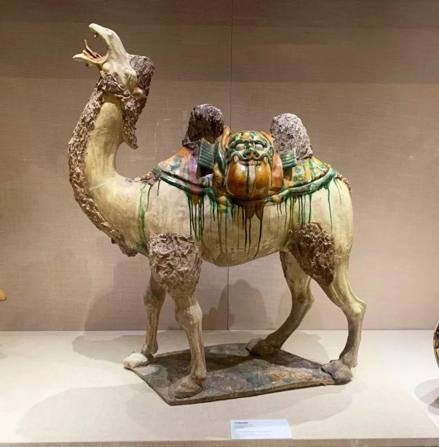 三彩载丝骆驼(唐代)1063年河南省洛阳关林出土,洛阳博物馆藏