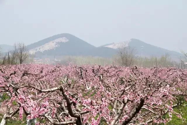 邳州城市人口_江苏,被地图炮伤得最深的地方(2)