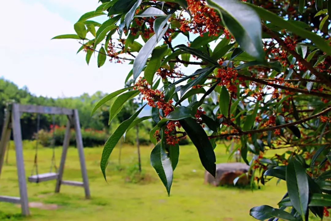 福建百花村农林发展有限公司位于柘荣县城郊乡金家洋村.