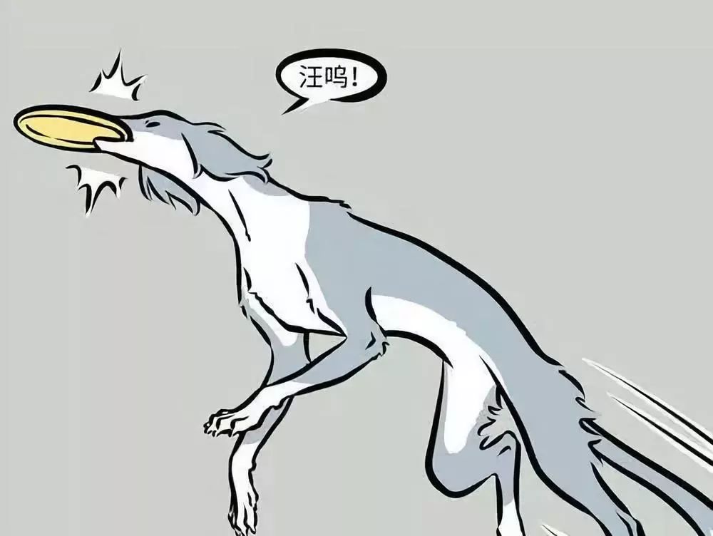 【学点历史】犬和狗有何区别?走狗曾是"体面人"的代名词?