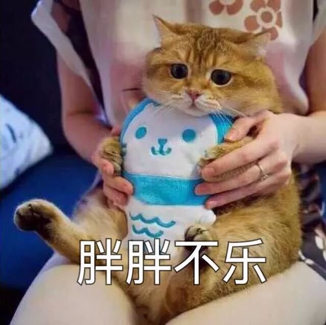 一瘦男抱一胖女猜成语_男抱胖女图猜成语