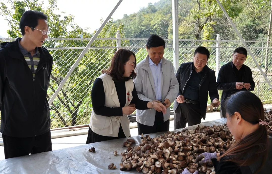 镇巴县委书记赵勇健到青水镇督导调研脱贫攻坚工作