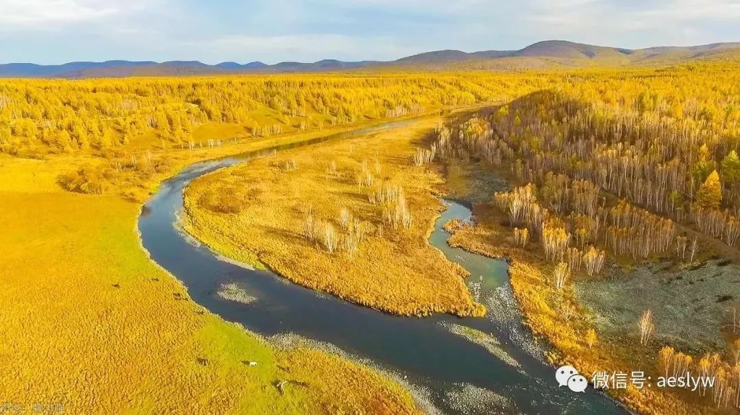 2dd4f0e45b054af09f10ef2f1d5c5cfd.jpeg