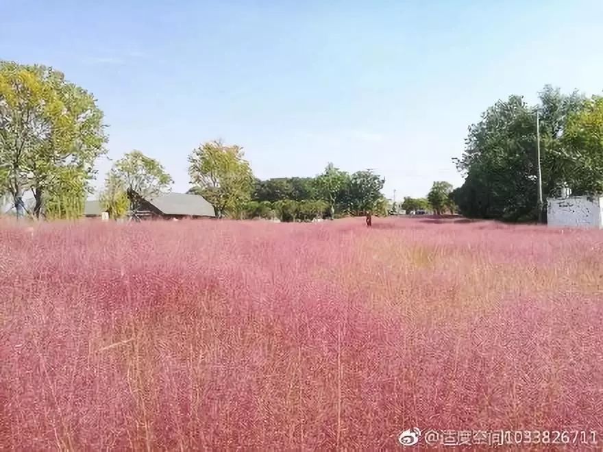 地图搜索南京市高淳区蒋山村返回搜狐,查看更多