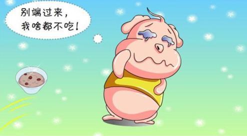 吃什么有助于减肥且健康 484a423f634144a8a41bd897b1181e65.jpeg