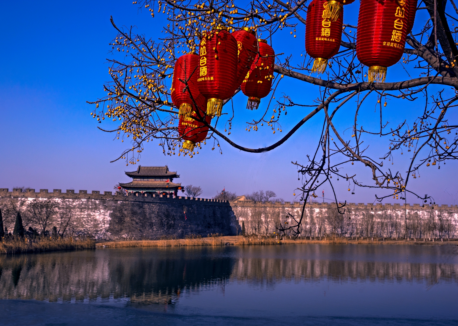 扬州运河博物馆火爆，全息投影，馆内造唐代古城，重现千年大运河
