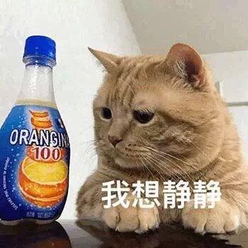 猫咪表情包合集|我太难了,我想静静