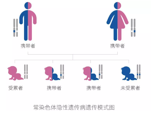 什么是基因检测的主要方法 562332b7ba7841c48b069337dddcdbce.png