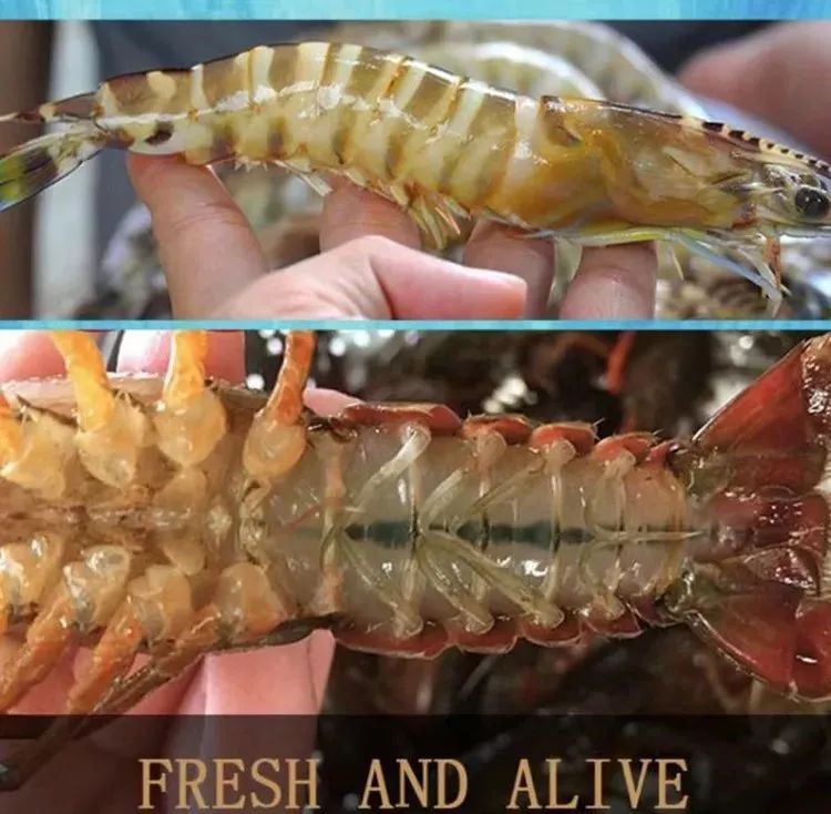 583659e65d6d400b906662aa03d19516.jpeg
